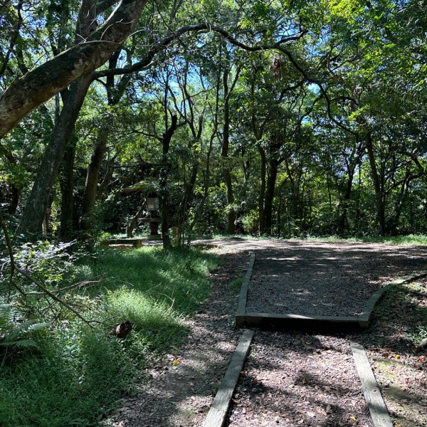 大崙頭山、大崙尾山2922670