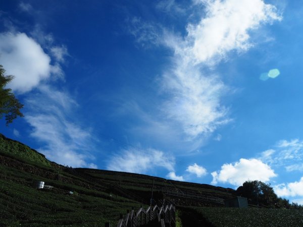 嘉義頂石棹五星級步道群（霞茶雲）20181208478089