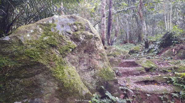 《新竹》不見五指｜北埔五指山登山步道上中指峰202410102619046