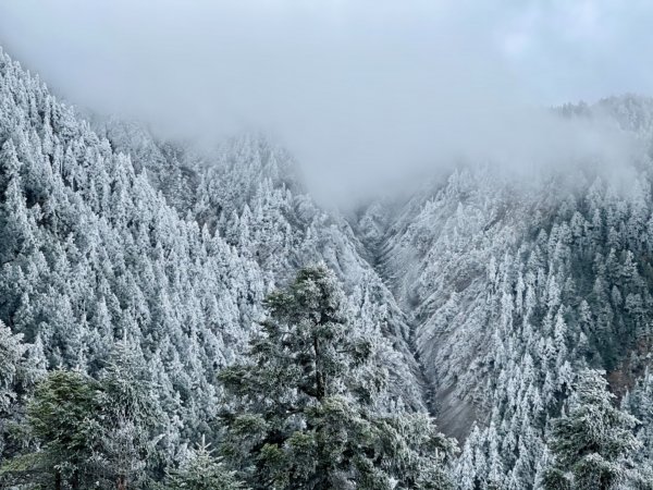 絕美銀白世界 玉山降下今年冬天「初雪」1236052