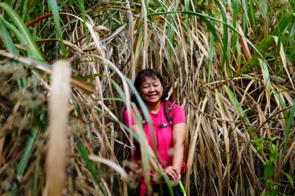 三腳南山、難山傻傻分不清楚1241020