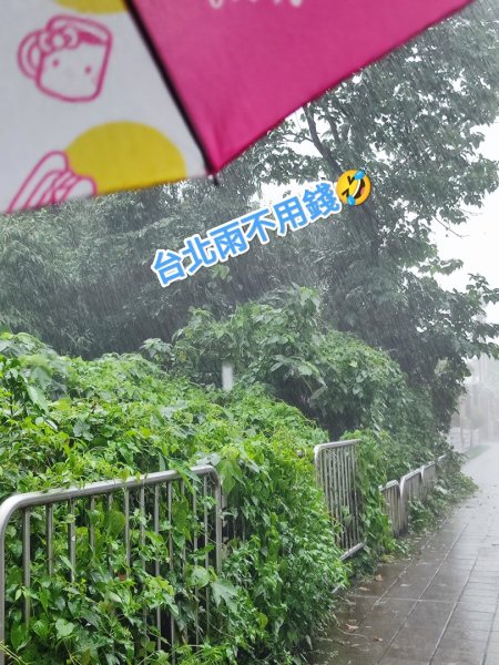 2026臺北健走趣3075592