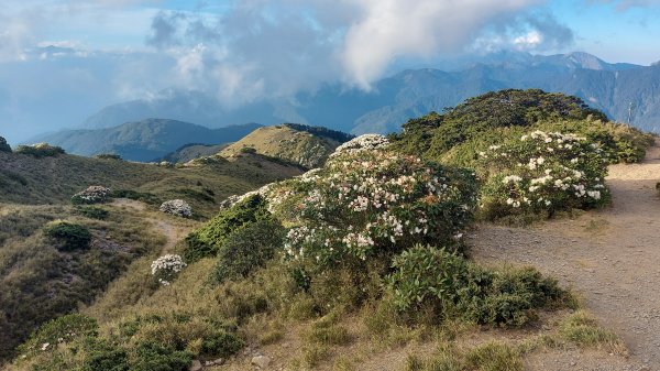合歡山北峰1377990