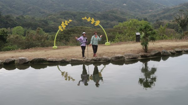 戀戀魯冰花(季) 串走大北坑 龍泉、江申、福人步道與保甲古道　　