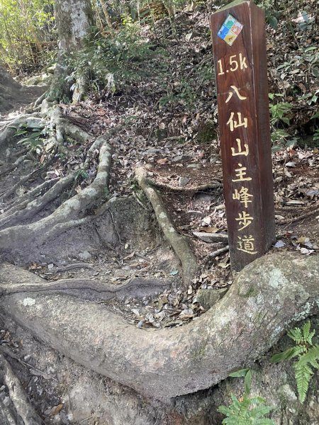 八仙山11201063058777