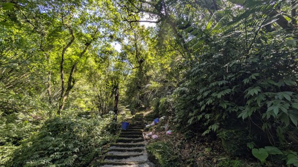 115.07.26孝子山-慈母峰-嶺腳瀑布-望谷瀑布之旅3091111