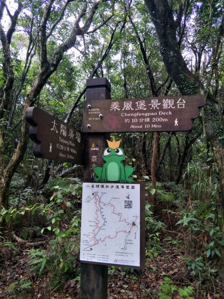 大崙頭山1299824