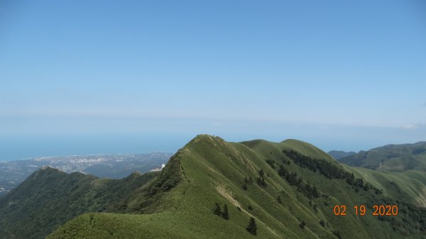 再度槓龜散步巡田水-雲山水841695