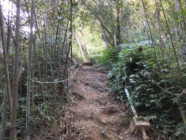 20210116-關刀山1238211