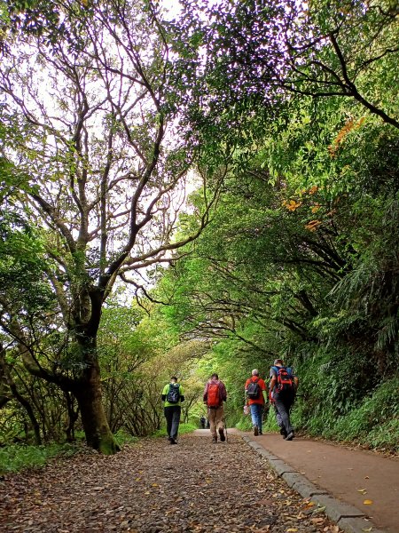 踏查新行程：二子坪→菜公坑山→大屯自然公園→二子坪→二子山東、西峰→二子坪