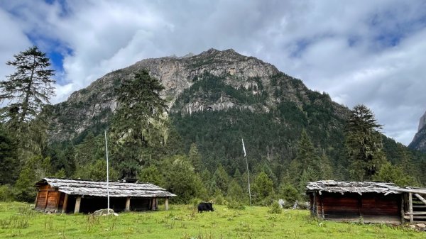 川藏33天深度之旅💙#稻城亞丁-來古冰川2902354