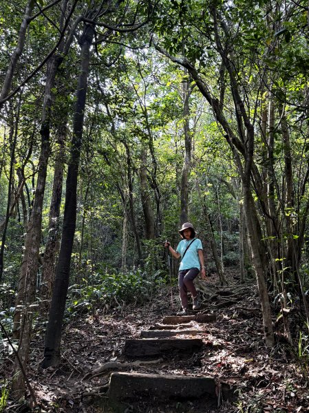 新山夢湖 小O繞 2025/05/302811046