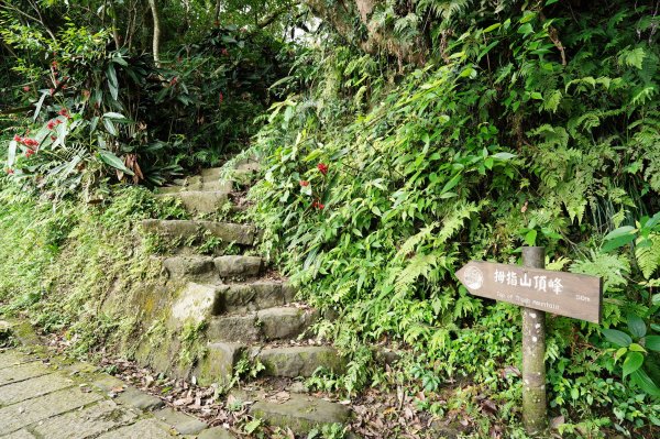 臺北 南港 南港山、拇指山、象、獅、豹、虎、四分里山、茅草埔山2803434