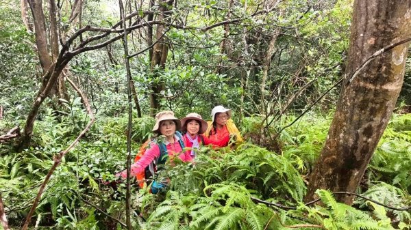 關西大東坑山/草長難過  順訪東安古橋2930523