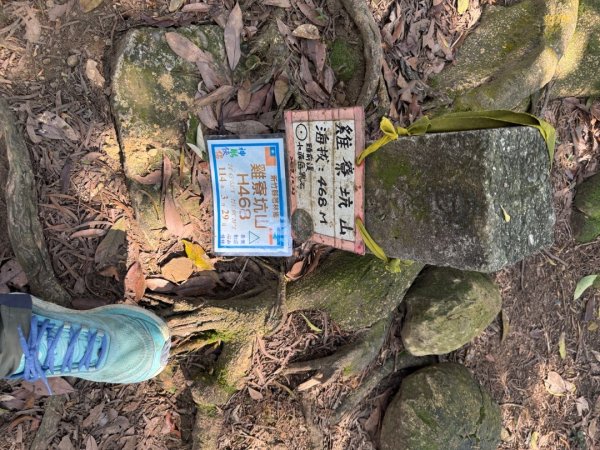 20260221 飛沙新路3003425