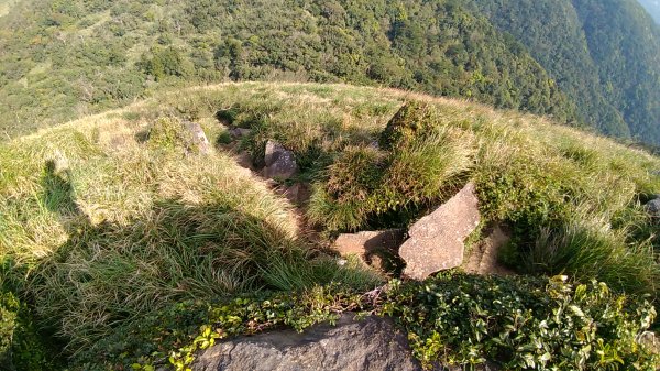 二子坪U上大屯山西峰544722