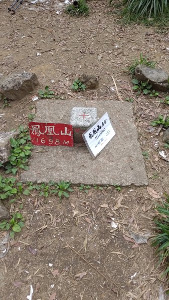 溪頭鳳凰山2759188