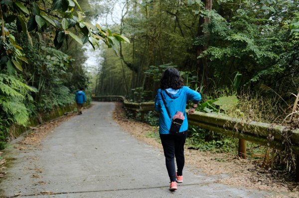 【雲林-嘉義】挑筍古道，車心崙步道897768
