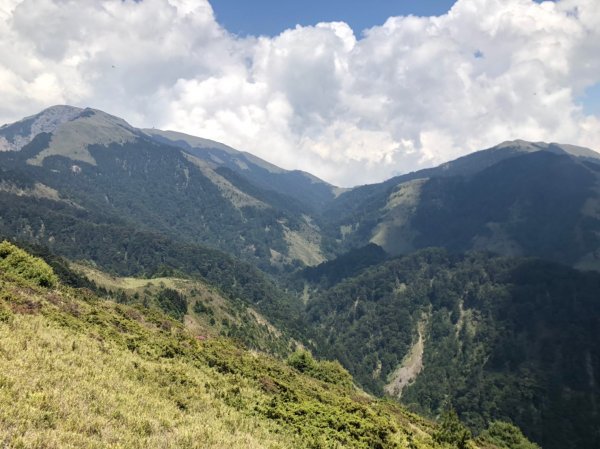 合歡山五座百岳賞杜鵑花587139