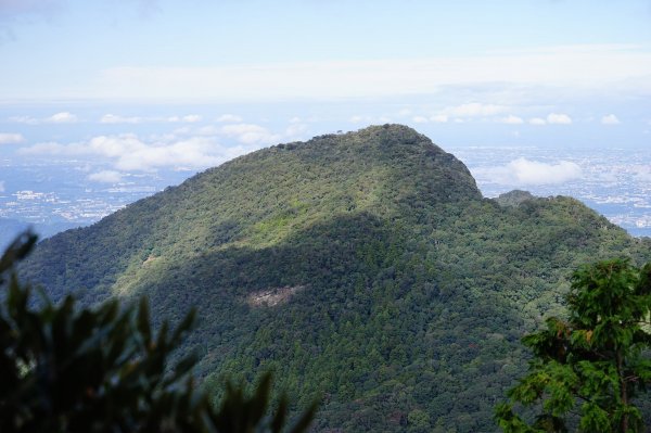 新竹關西鎮 水田林道之貴妃&那結山連走1539690