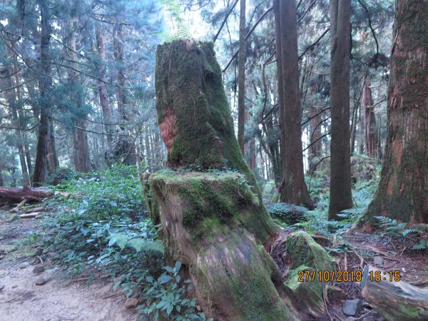 特富野古道449296