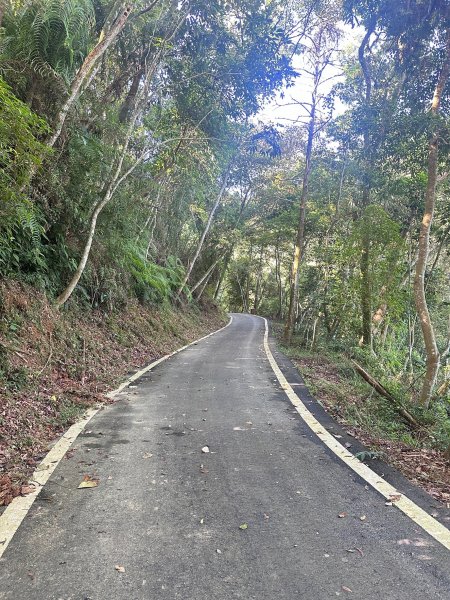 水沙璉古道輕鬆走2595163