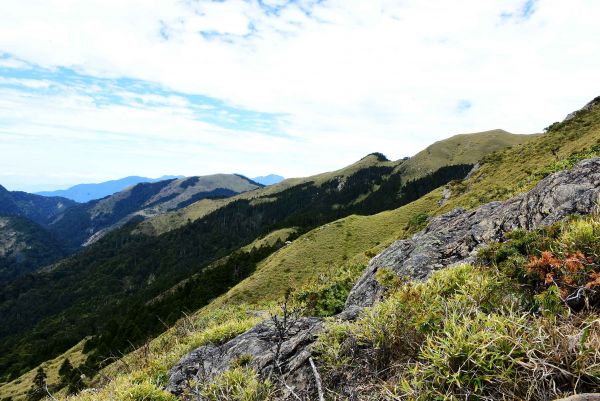 JRJ 合歡群峰之合歡北峰382693