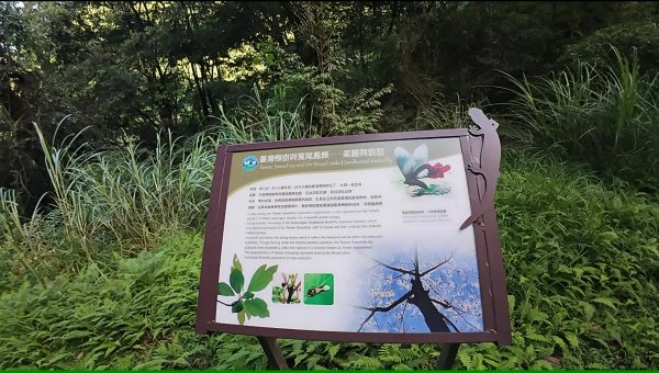 大霸群峰:大霸尖山、小霸尖山、伊澤山、加利山、耶巴奧山2849581