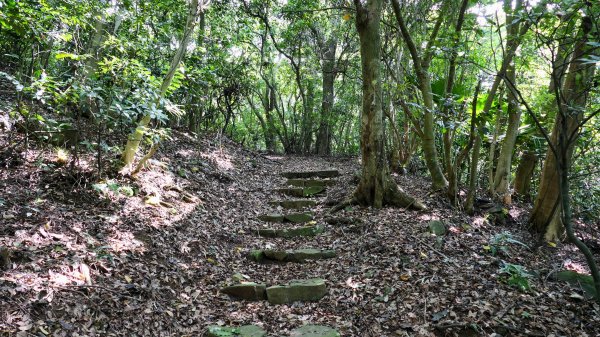 八勢古道,三空泉步道,貴子坑步道2545520