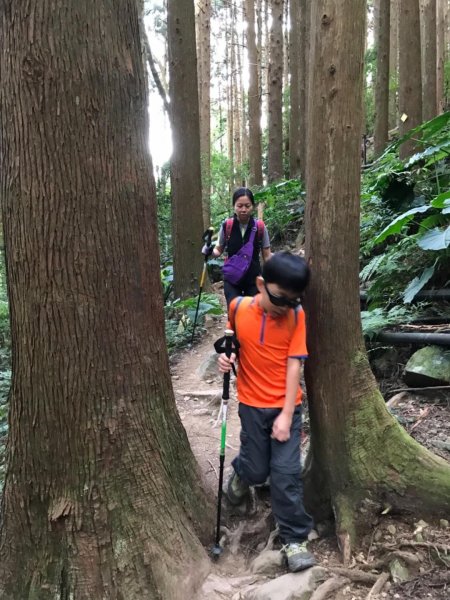 加里山鹿野線461344