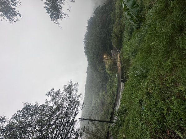 2024草嶺古道芒花季草嶺古道2644784