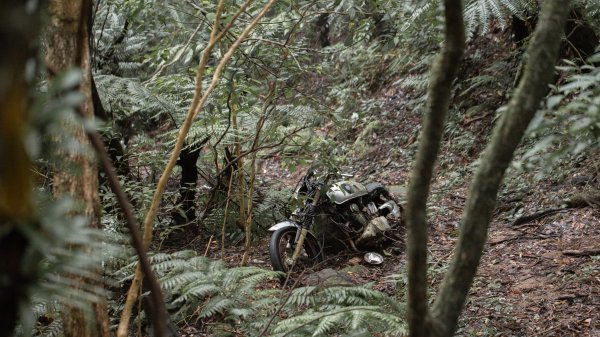 傳說中的「魔神仔洞」| 菁桐古道（汐止段＆平溪段）2721248