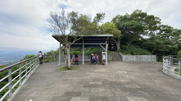 2024觀音觀鷹全7線| Mt. Guanyin |皇蛾|峯花雪月2504727