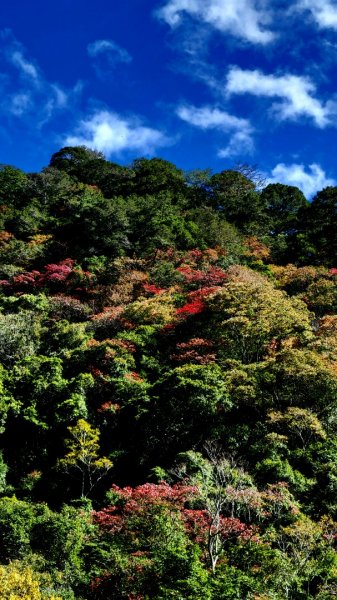 霞克羅古道1553130