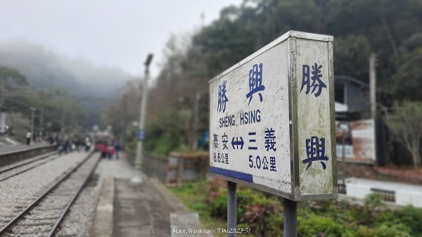 《苗栗》台鐵舊山線｜三義勝興鐵道覓境及挑柴古道O繞20250119