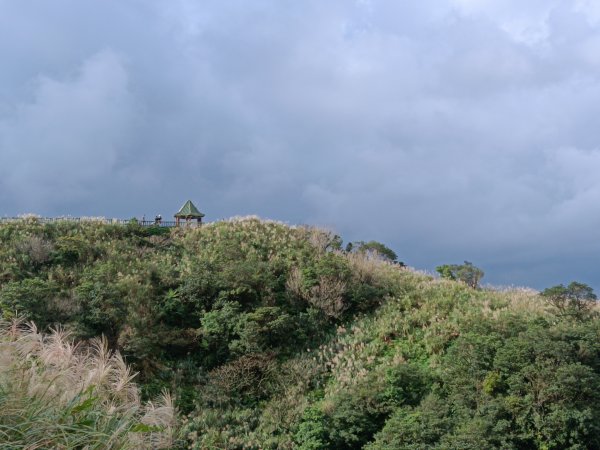 雙溪區不厭亭+草山公路+牡丹山+不厭亭+金字碑古道(探幽亭)+三貂崙+不厭亭8字走2941900