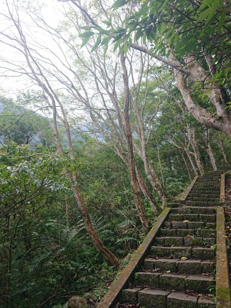 滿月圓-東滿步道1293491