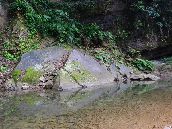 大牛稠湖步道湳子大崙三層山352145