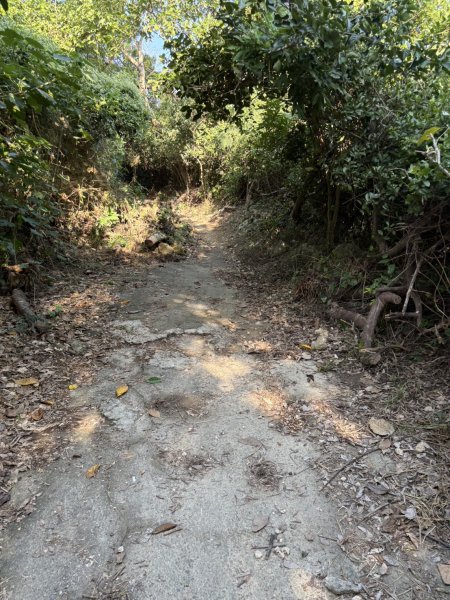 20251115壽山步道(元亨寺免費停車啟登)2938464
