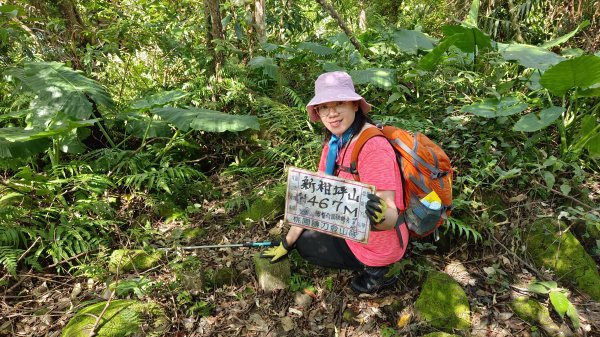 (姨婆趴趴走)第二十一集:桃園復興高遶溪古圳步道、新柑坪山、牛背岩環狀縱走