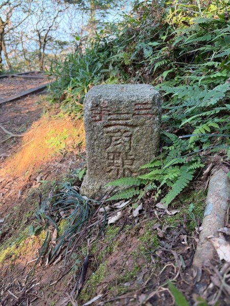 新北 金山 磺港山 獅頭山3000180