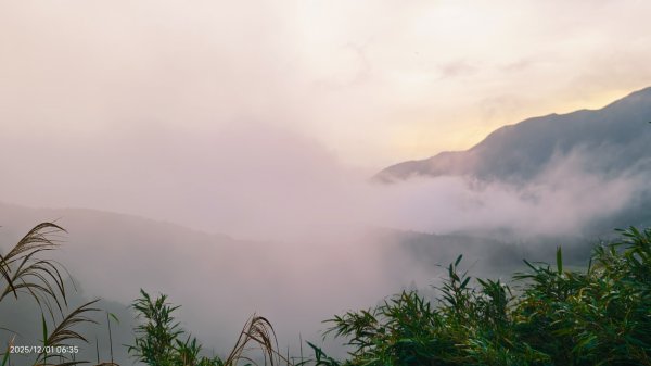 #陽明山 趴趴走12/12950338