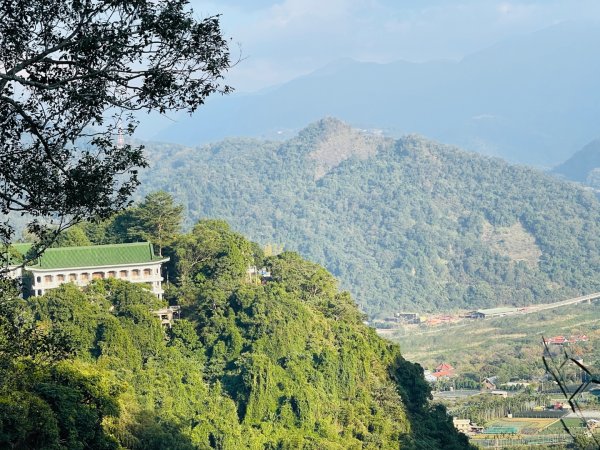 1141207金童山2957730