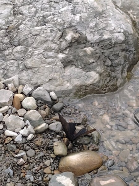 達娜伊谷-里美避難步道-巨石板步道-約富霓2788569