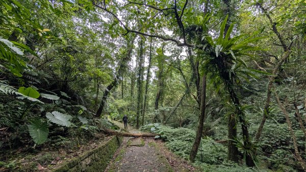 114.11.15平溪小黃山段-望古瀑布段之旅2937801