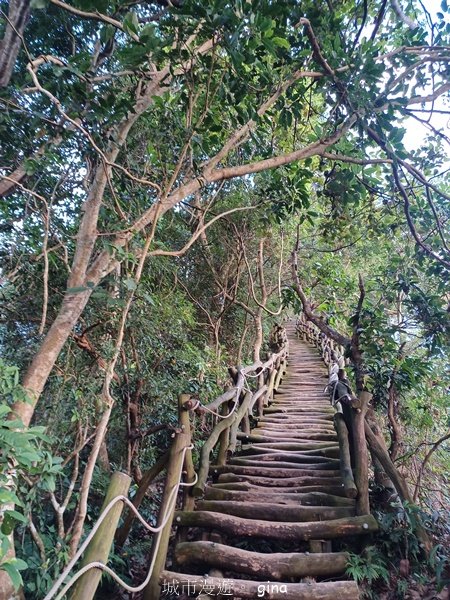 【台中北屯】第一次遇上大坑步道群起霧。 大坑三號步道2695147
