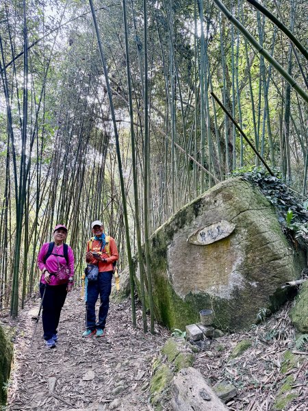 再訪八通關社寮古道登陳東坑山    2025.11.252946106