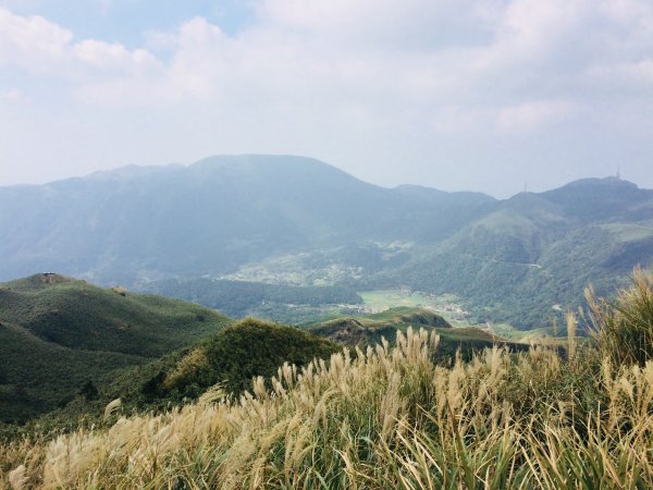 20181027_七星山-冷水坑-擎天崗485213