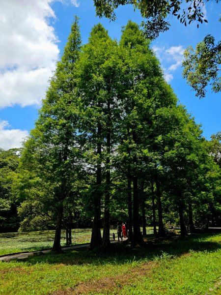 福山植物園 - (宜蘭)臺灣百大必訪步道2557615