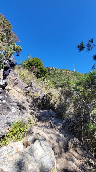 玉山前峰2402061
